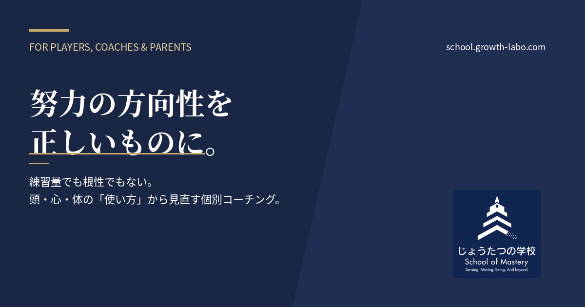 じょうたつの学校